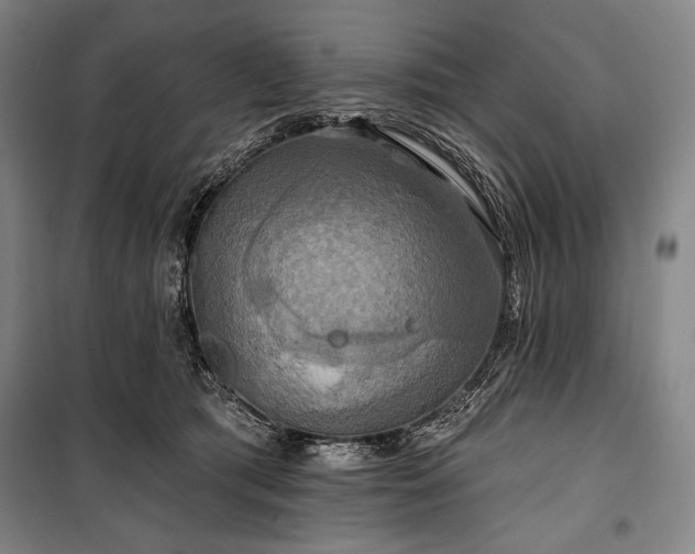 X0000101160417200806271014