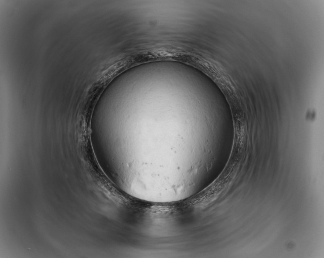 X0000101160418200806271014