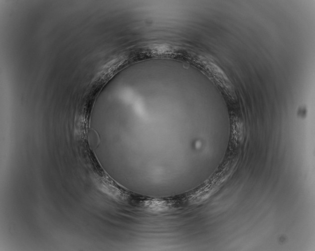 X0000101160419200806271014
