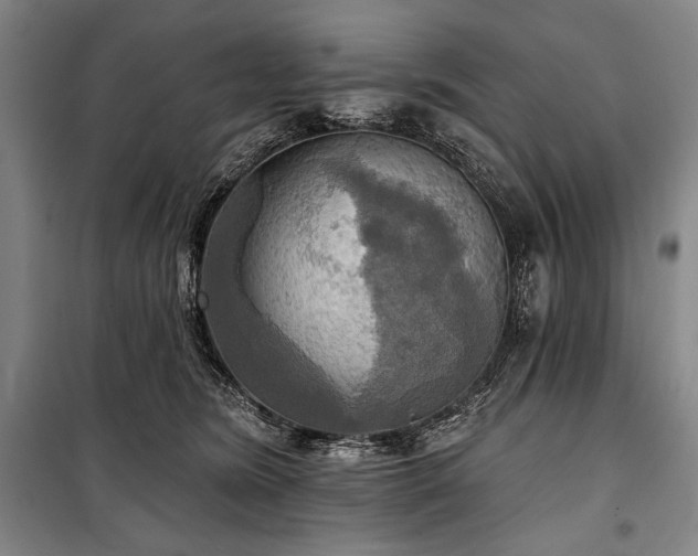 X0000101160420200806271014