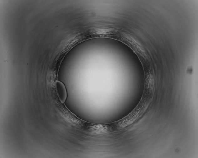 X0000101160421200806271014