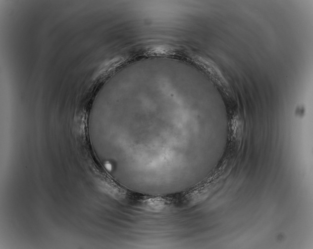 X0000101160423200806271014