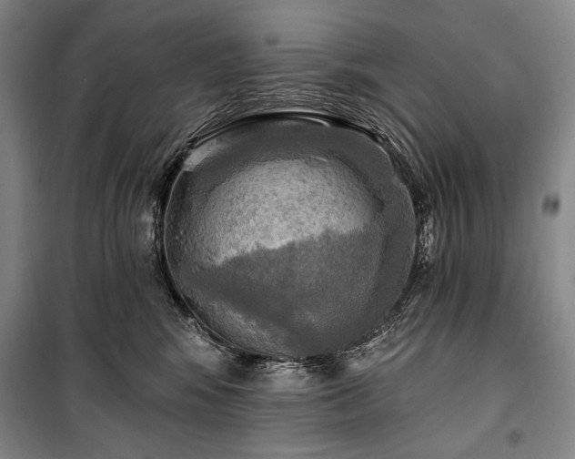 X0000101160424200806271014