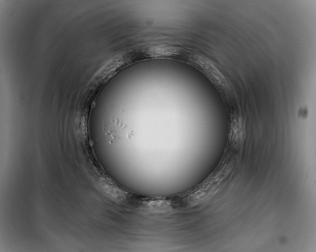 X0000101160426200806271014
