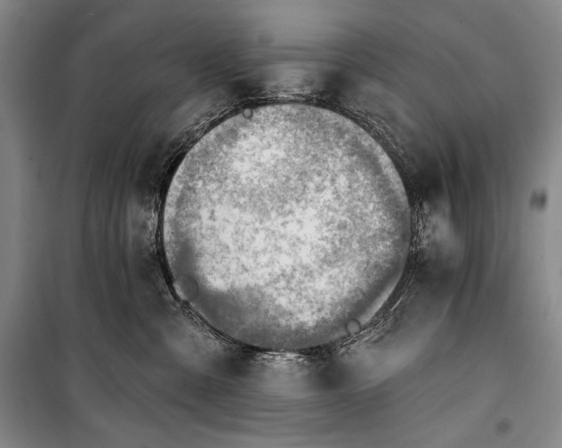 X0000101160427200806271014
