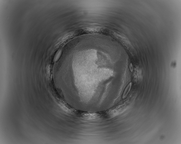 X0000101160428200806271014