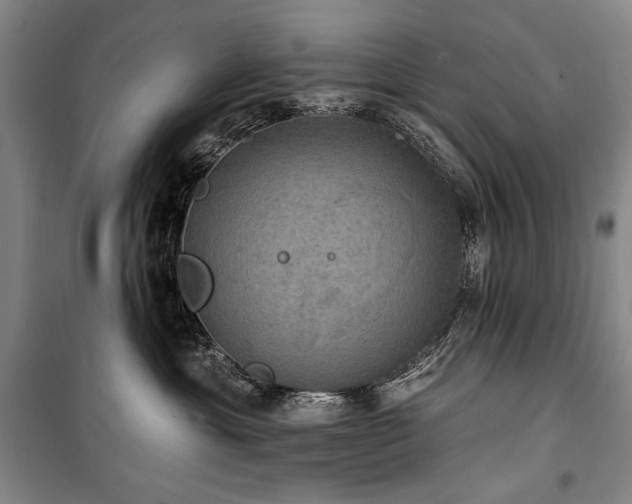 X0000101160429200806271014