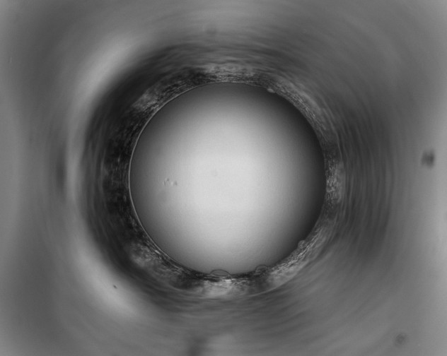 X0000101160430200806271014