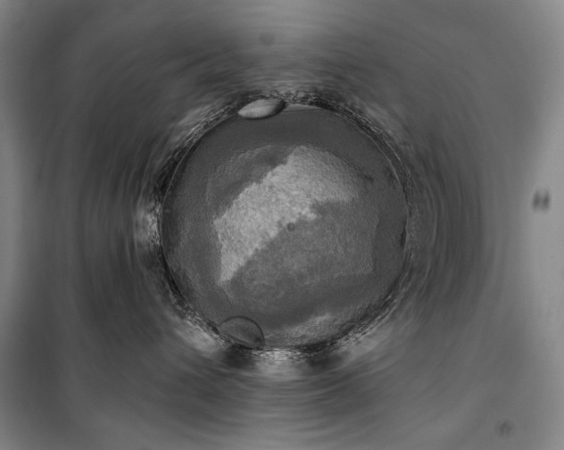X0000101160432200806271014