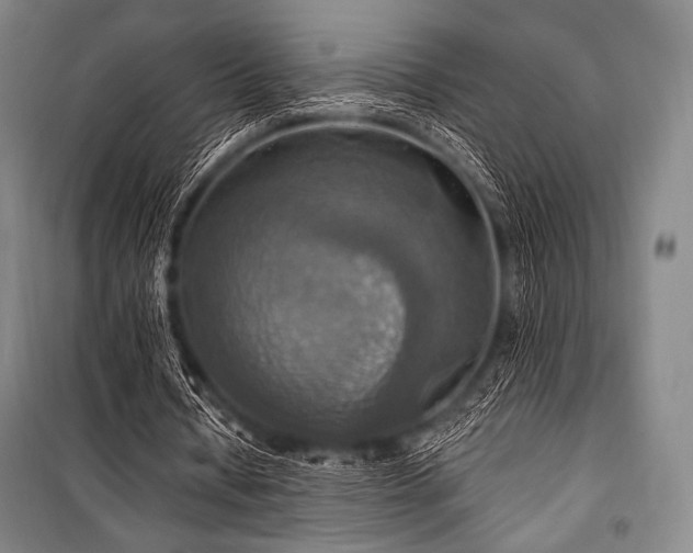 X0000101160434200806271013
