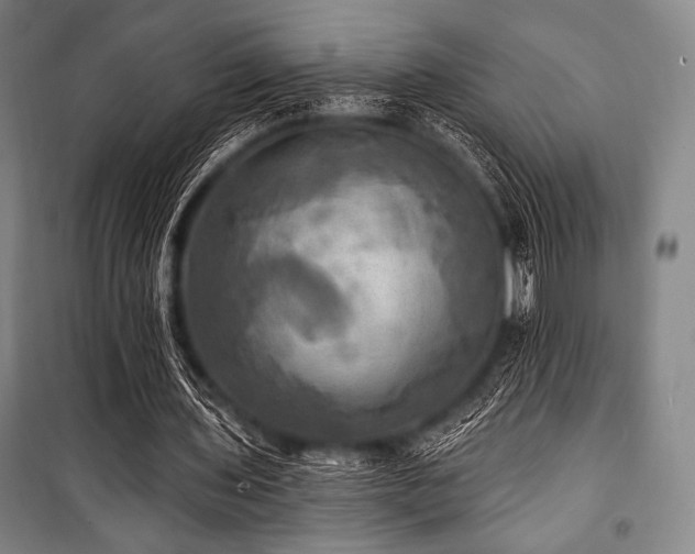 X0000101160435200806271013