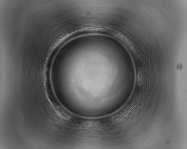 X0000101160436200806271013