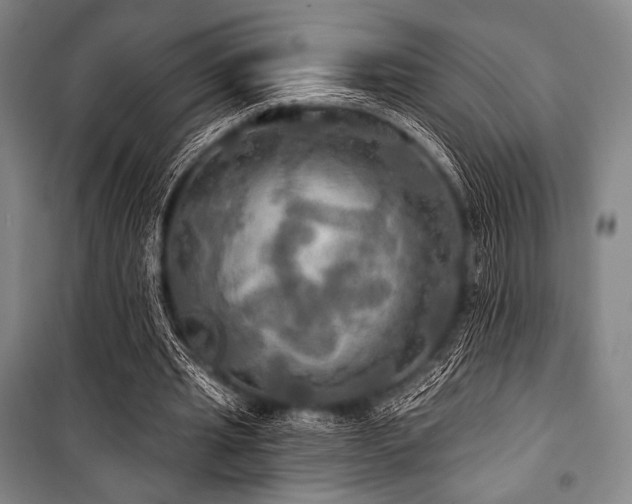 X0000101160437200806271013