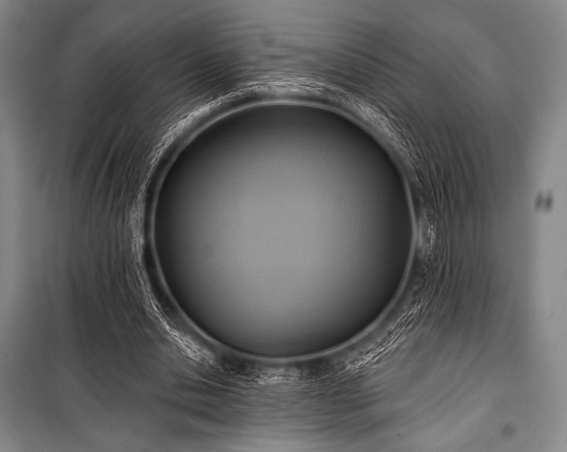 X0000101160438200806271013