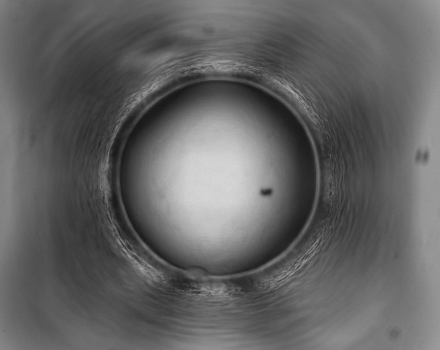 X0000101160439200806271013