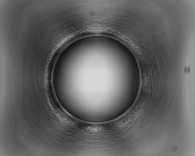 X0000101160440200806271013