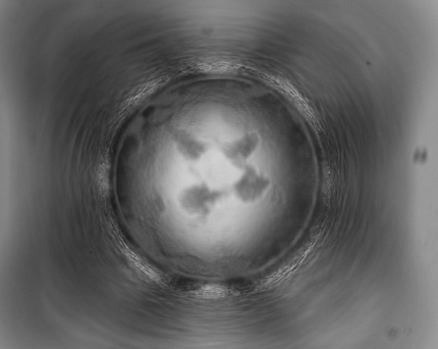 X0000101160441200806271013