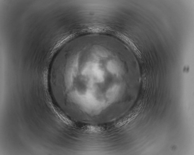 X0000101160442200806271013