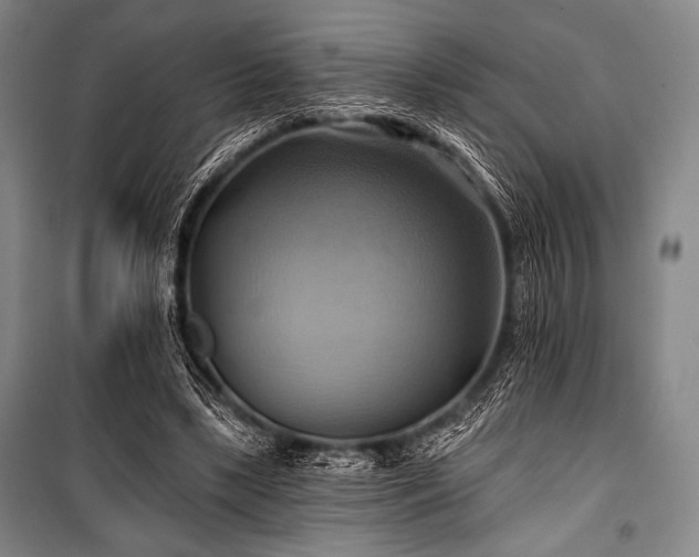 X0000101160443200806271013