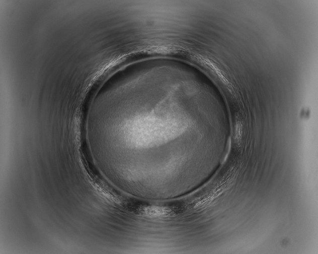 X0000101160444200806271013