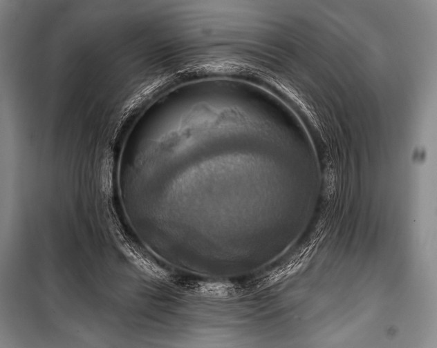 X0000101160446200806271013