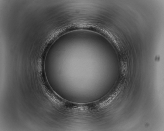 X0000101160447200806271013