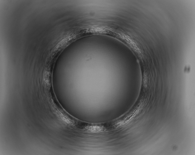X0000101160449200806271013