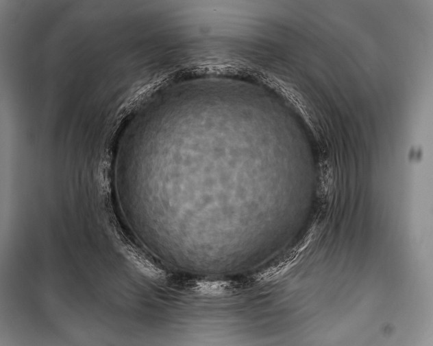 X0000101160450200806271013