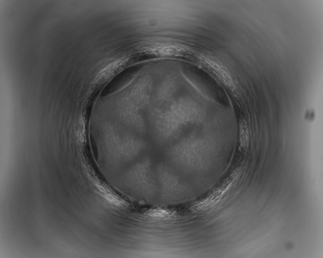 X0000101160453200806271013