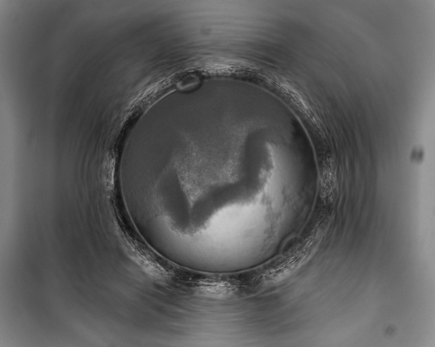 X0000101160454200806271013