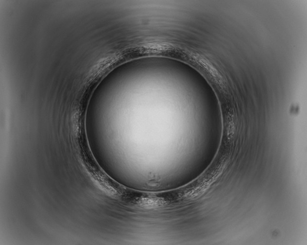 X0000101160455200806271013