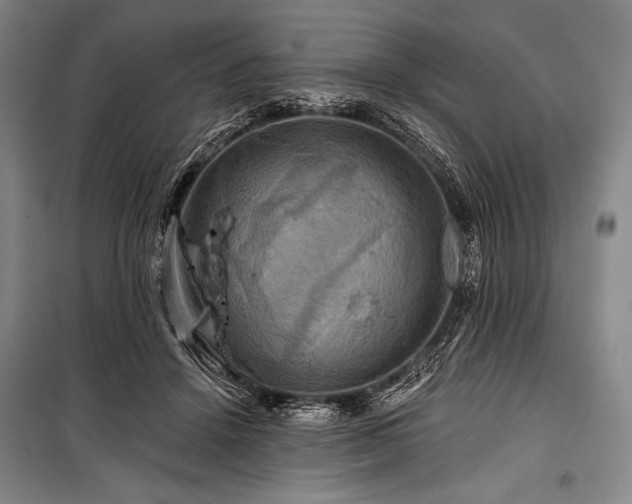 X0000101160456200806271013
