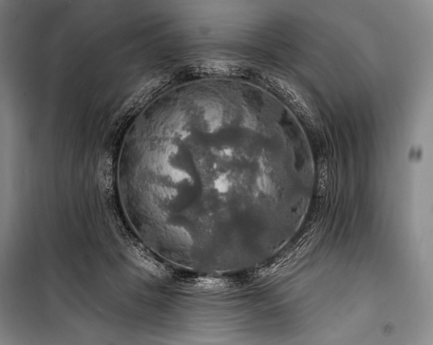 X0000101160457200806271013