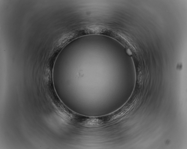 X0000101160459200806271013