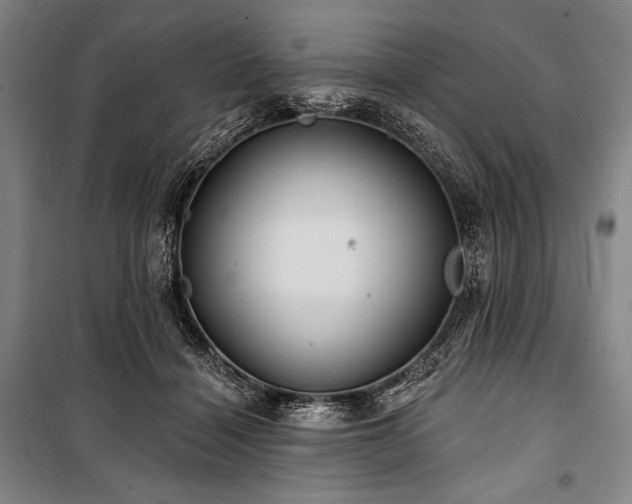 X0000101160460200806271013