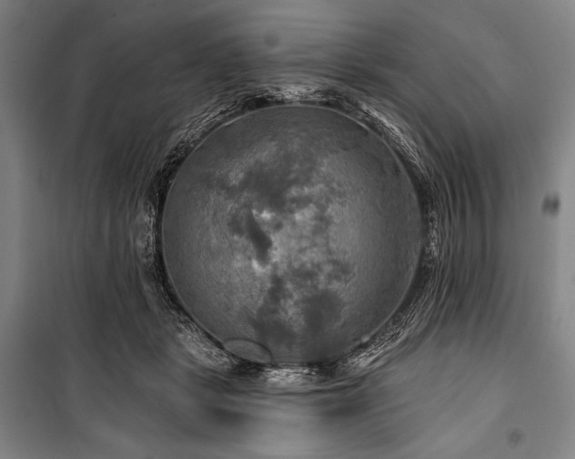 X0000101160461200806271013