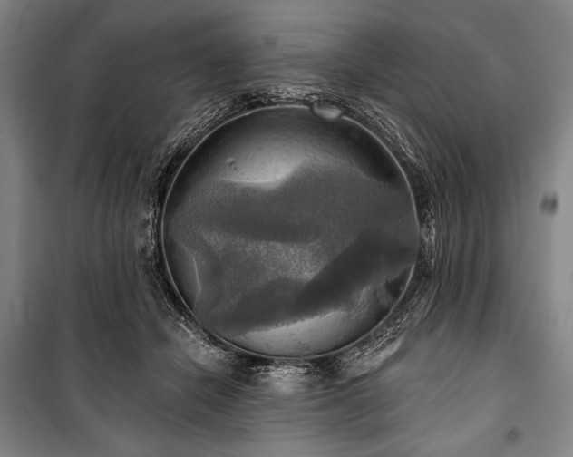 X0000101160462200806271013
