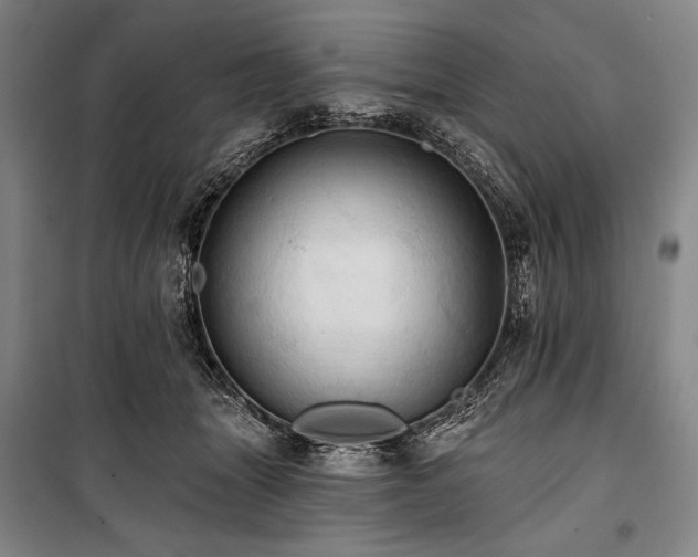 X0000101160463200806271013