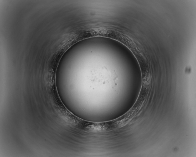 X0000101160464200806271013