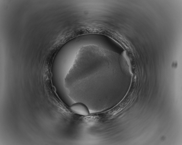 X0000101160465200806271013