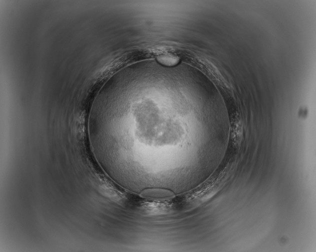 X0000101160466200806271013