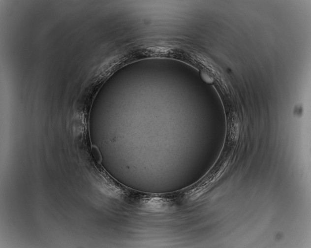 X0000101160467200806271013