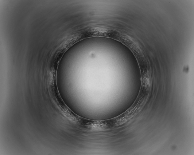 X0000101160468200806271013
