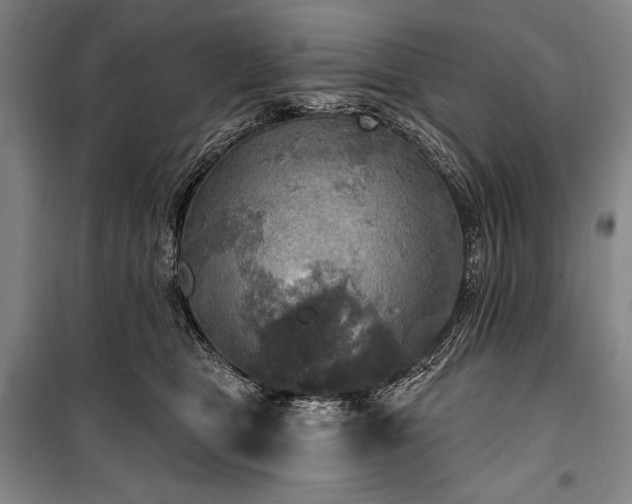 X0000101160469200806271014