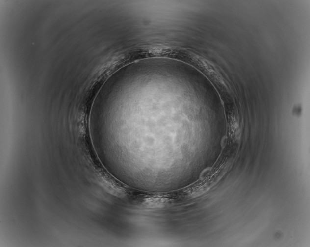 X0000101160470200806271014