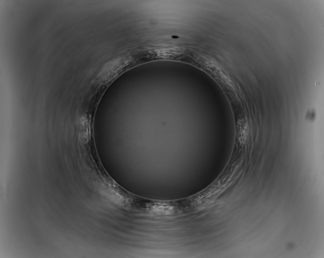 X0000101160471200806271014