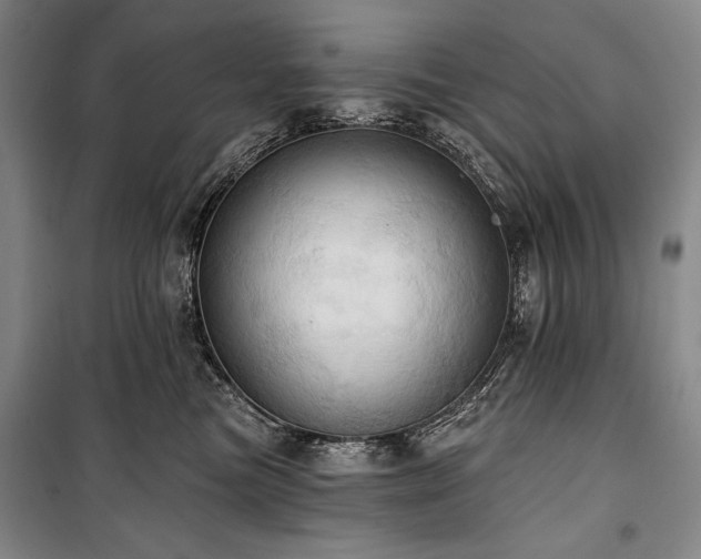 X0000101160473200806271014