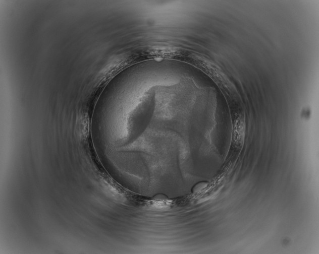 X0000101160474200806271014