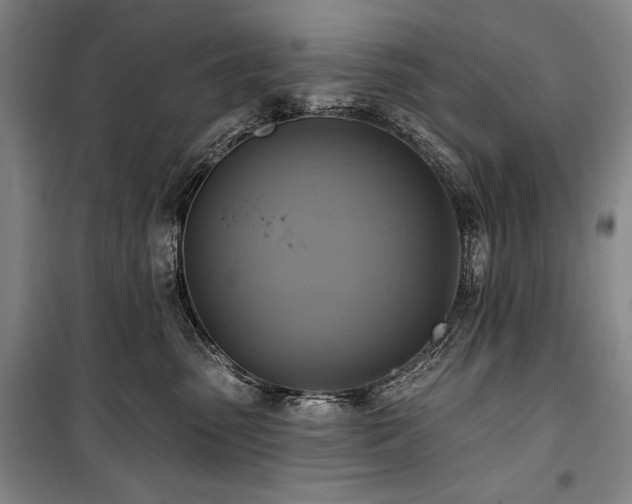 X0000101160475200806271014