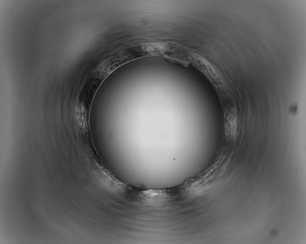X0000101160477200806271014